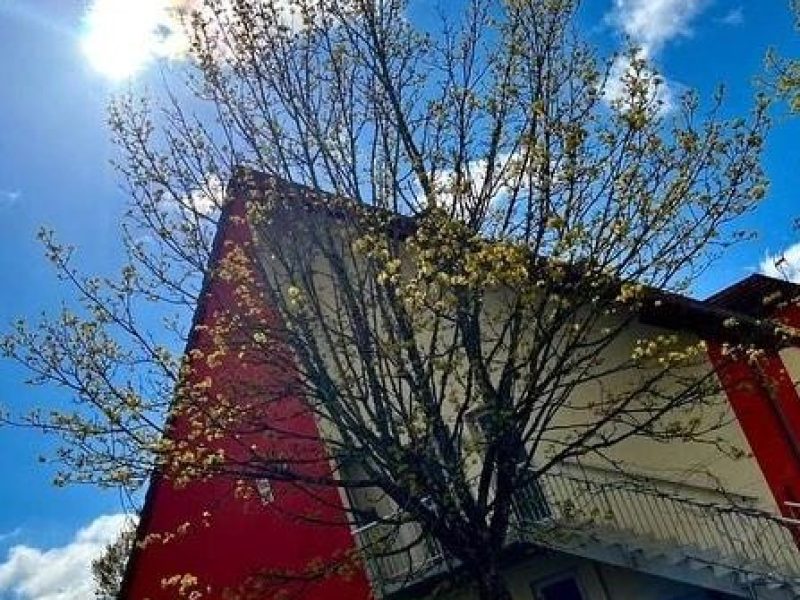 La Mirandière dons